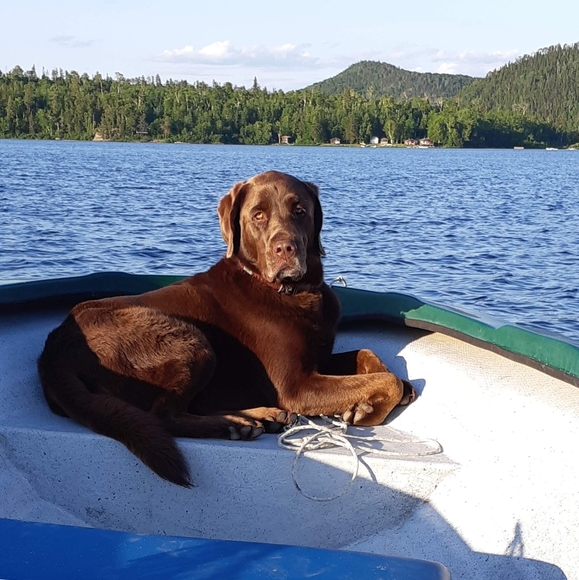 Meet your Posher, Karine - Picture 3 of 11